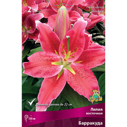 ����  ����� ��������� ��������� (2 ��.), ������ �� 319 ���