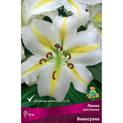 ����  ����� ��������� ��������� (2 ��.), ������ �� 370 ���