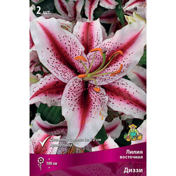 ����  ����� ��������� ����� (2 ��.), ������ �� 370 ���