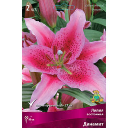 ����  ����� ��������� ������� (2 ��.), ������ �� 319 ���