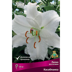 ����  ����� ��������� ���������� (2 ��.), ������ �� 370 ���