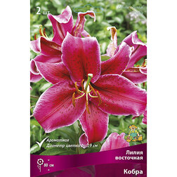 ����  ����� ��������� ����� (2 ��.), ������ �� 319 ���