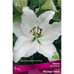 ����  ����� ��������� ������ ���� (2 ��.), ������ �� 319 ���