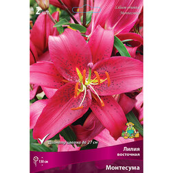 ����  ����� ��������� ��������� (2 ��.), ������ �� 319 ���