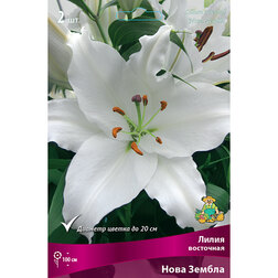 ����  ����� ��������� ���� ������ (2 ��.), ������ �� 319 ���