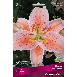 ����  ����� ��������� ������ ���� (2 ��.), ������ �� 394 ���