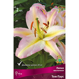 ����  ����� ��������� ��� ���� (2 ��.), ������ �� 333 ���