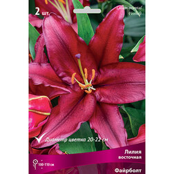 ����  ����� ��������� �������� (2 ��.), ������ �� 333 ���