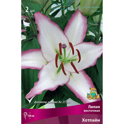 ����  ����� ��������� ������� (2 ��.), ������ �� 394 ���