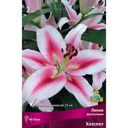 ����  ����� ��������� ������� (2 ��.), ������ �� 394 ���