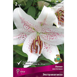 ����  ����� ��������� ������������� (2 ��.), ������ �� 394 ���