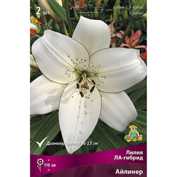 ����  ����� ��-������ ������� (2 ��.), ������ �� 268 ���