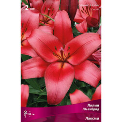 ����  ����� ��-������ ������ (2 ��.), ������ �� 268 ���