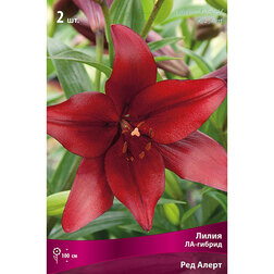 ����  ����� ��-������ ��� ����� (2 ��.), ������ �� 292 ���