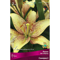 ����  ����� ��-������ �������� (2 ��.), ������ �� 380 ���