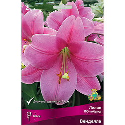 ����  ����� ��-������ �������� (2 ��.), ������ �� 333 ���