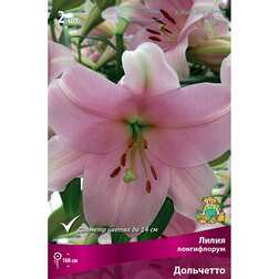 ����  ����� ����������� ��������� (2 ��.), ������ �� 333 ���