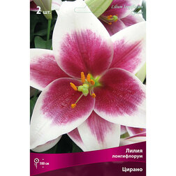 ����  ����� ����������� ������ (2 ��.), ������ �� 299 ���