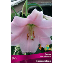 ����  ����� ����������� ������� ���� (2 ��.), ������ �� 333 ���