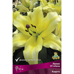 ����  ����� ��-������ ������ (2 ��.), ������ �� 319 ���