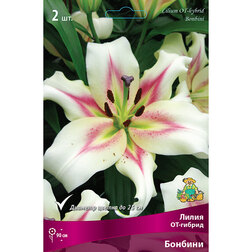 ����  ����� ��-������ ������� (2 ��.), ������ �� 319 ���