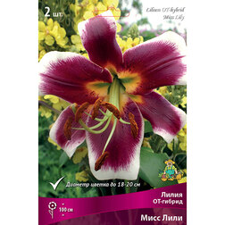 ����  ����� ��-������ ���� ���� (2 ��.), ������ �� 421 ���