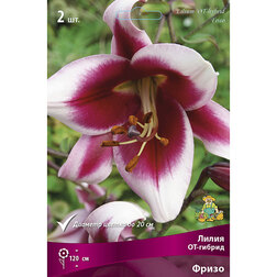 ����  ����� ��-������ ����� (2 ��.), ������ �� 421 ���