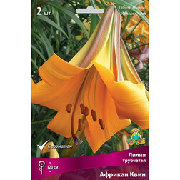 ����  ����� ��������� ������� ���� (2 ��.), ������ �� 421 ���