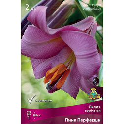 ����  ����� ��������� ���� �������� (2 ��.), ������ �� 421 ���