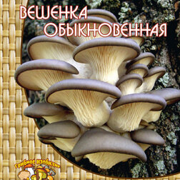 ����  ������� ������������ (12 ��.), ������ �� 132 ���