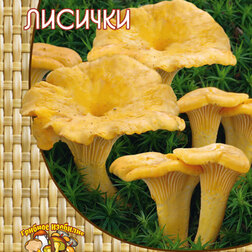 ����  ������� (60 ��.), ������ �� 151 ���