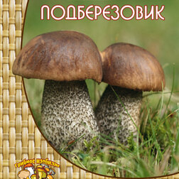 ����  ����������� (60 ��.), ������ �� 151 ���