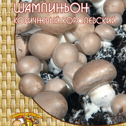 ����  ��������� ���������� (60 ��.), ������ �� 151 ���