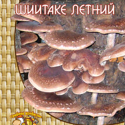 ����  ������� ������ (12 ��.), ������ �� 132 ���