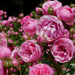 ����  ���� ������ ���������� ����������, ������ �� 699 ���