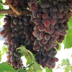 ����  �������� �������� ��������, ������ �� 349 ���