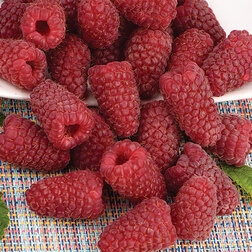 ����  ������ ������������ ��������� �����, ������ �� 389 ���