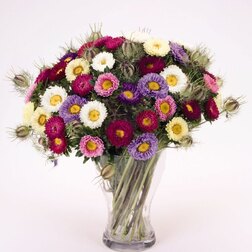 ����  ����� ��� ���� (1��-1000��) ���������������� ������, ������ �� 1920 ���