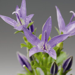 ����  ����������� ���������� �������� (1��-1000 ��), ������ �� 4480 ���