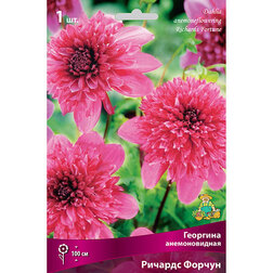 ����  �������� ������������� ������� ������ (1 ��.), ������ �� 501 ���