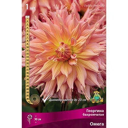 ����  �������� ����������� �����, ������ �� 476 ���