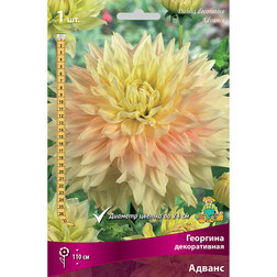 ����  �������� ������������ ������ (1 ��.), ������ �� 583 ���