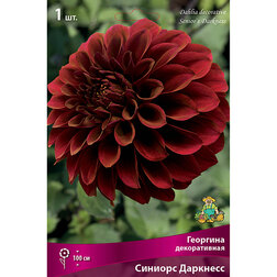 ����  �������� ������������ ������� �������� (1 ��.), ������ �� 484 ���