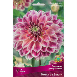 ����  �������� ������������ ����� �� �����, ������ �� 433 ���