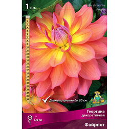 ����  �������� ������������ ������� (1 ��.), ������ �� 484 ���