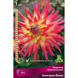 ����  �������� �������������� �������� ����, ������ �� 462 ���