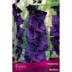 ����  ��������� ��������������� ������ (10 ��.), ������ �� 476 ���