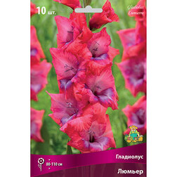 ����  ��������� ��������������� ������ (10 ��.), ������ �� 476 ���