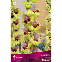 ����  ��������� ��������������� ������ (10 ��.), ������ �� 476 ���