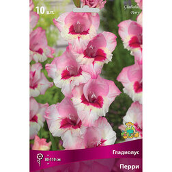 ����  ��������� ��������������� ����� (10 ��.), ������ �� 476 ���